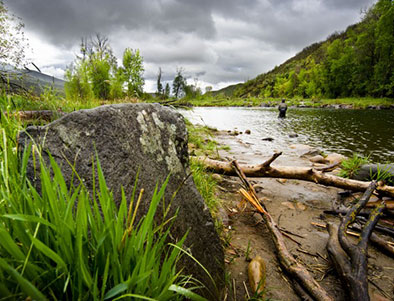 Fly fishing on the Middle Provo River, Utah